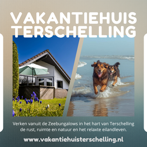 Vakantiehuis Terschelling